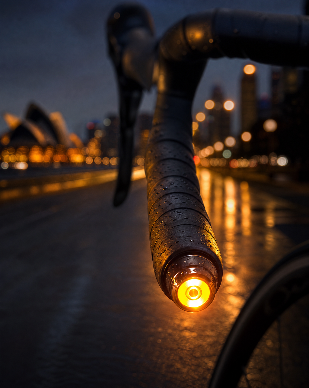 Handlebar Accent Lights